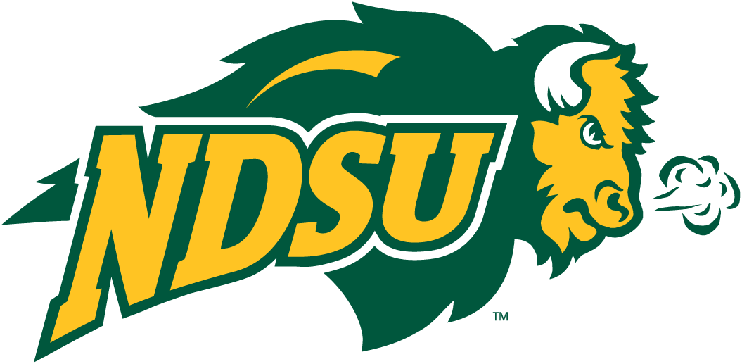 North Dakota State Bison 2005-2011 Secondary Logo v2 iron on transfers for T-shirts